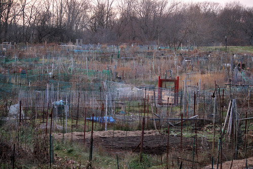 garden plots