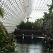 Biosphere2 Ocean • <a style="font-size:0.8em;" href="http://www.flickr.com/photos/26088968@N02/5340269107/" target="_blank">View on Flickr</a>