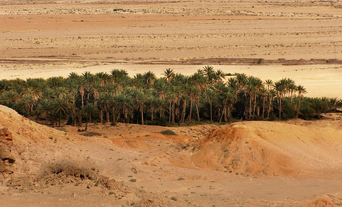 Oasis194 • <a style="font-size:0.8em;" href="http://www.flickr.com/photos/30735181@N00/5261123571/" target="_blank">View on Flickr</a>