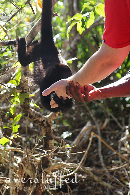 Nate feeding the monkey