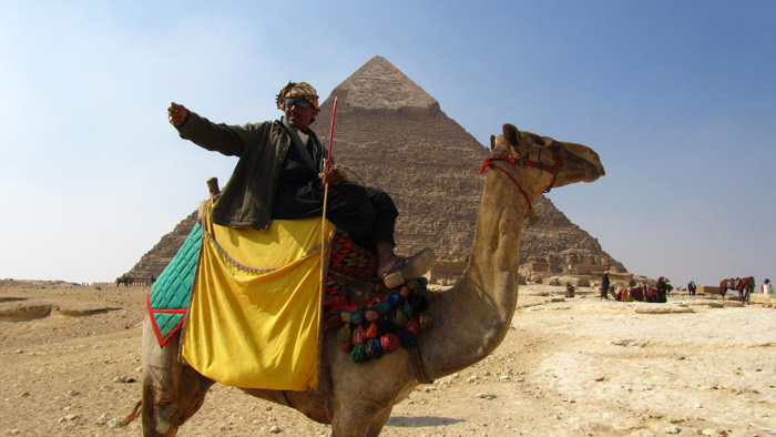 Camel and Pyramid