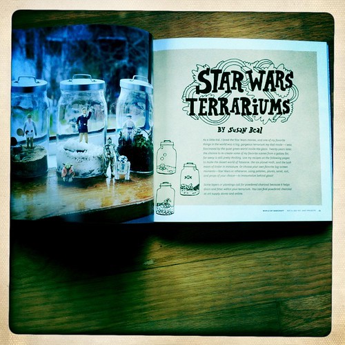 Star Wars Terrariums