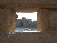 Landscape view of Palmyra.