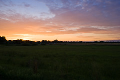 Sunset over Gotland