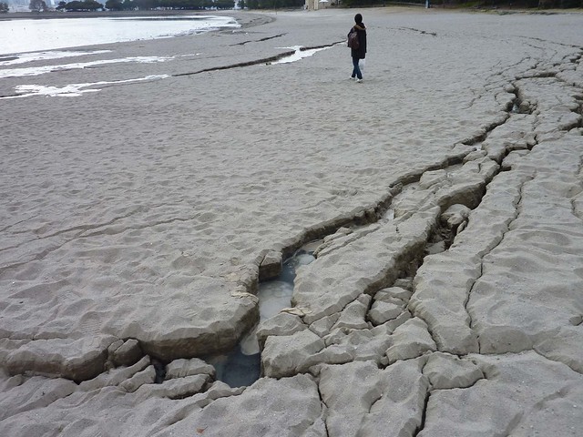 砂場が割れています、したから海水が湧いて...