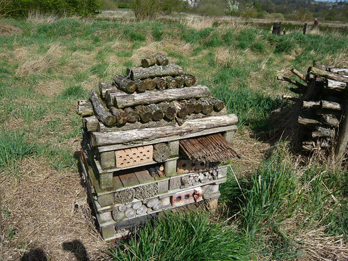 Insect home