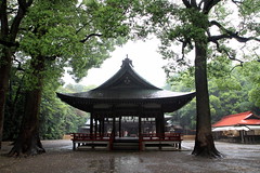 雨の氷川神社