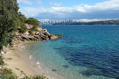 Lady Bay Beach and Sydney Skyline