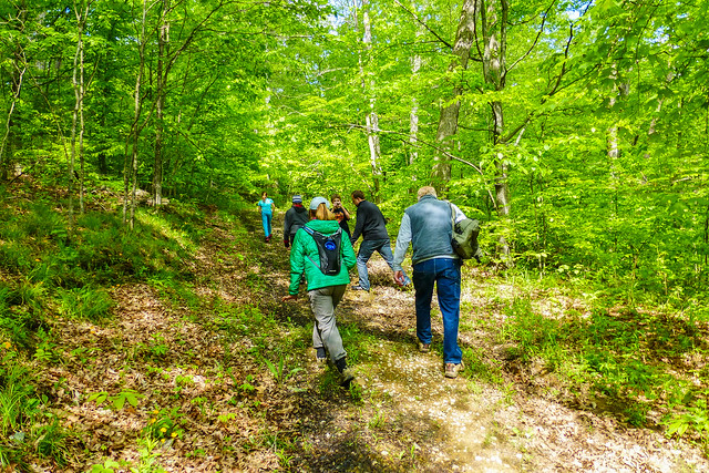 Nature Photography Ecotour - Yellowwood State Forest - Tecumseh Trail - May 17, 2014