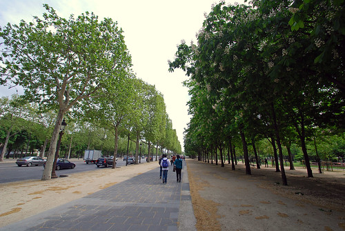Avenue Des Champs Elysees24