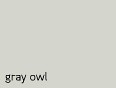 paint gray owl