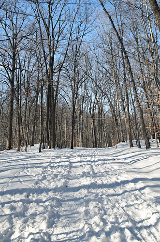 Snowy Trail Ahead [Winter 2011]