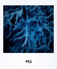 #DailyPolaroid #93 • <a style="font-size:0.8em;" href="http://www.flickr.com/photos/47939785@N05/5273958397/" target="_blank">View on Flickr</a>