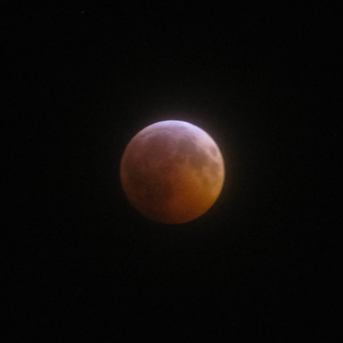 Total Lunar Eclipse 2010