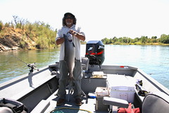 Great catch on Feather River