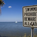 Beware of Alligators<br /><span style="font-size:0.8em;">Sign right by a playground at a park in Cocoa, Florida.</span>
