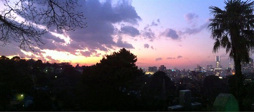 Beautiful dusky light on the way home from work. Yokohama on one side, Fuji on the other.