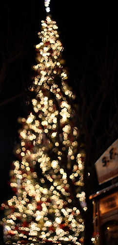 Christmas Tree Light Bokeh, Pier 39, San Francisco