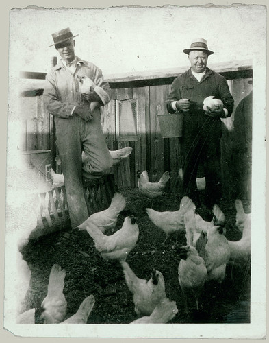 Two guys with chickens