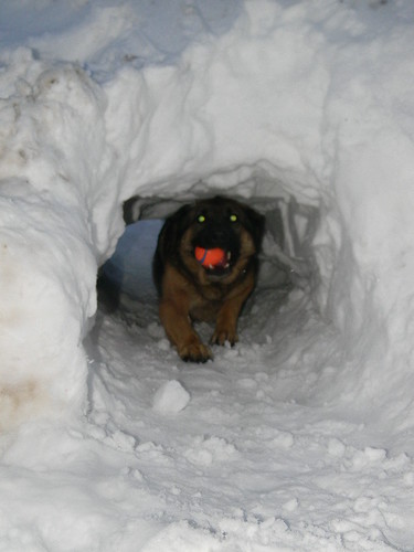 Snow Tunnel 2-11