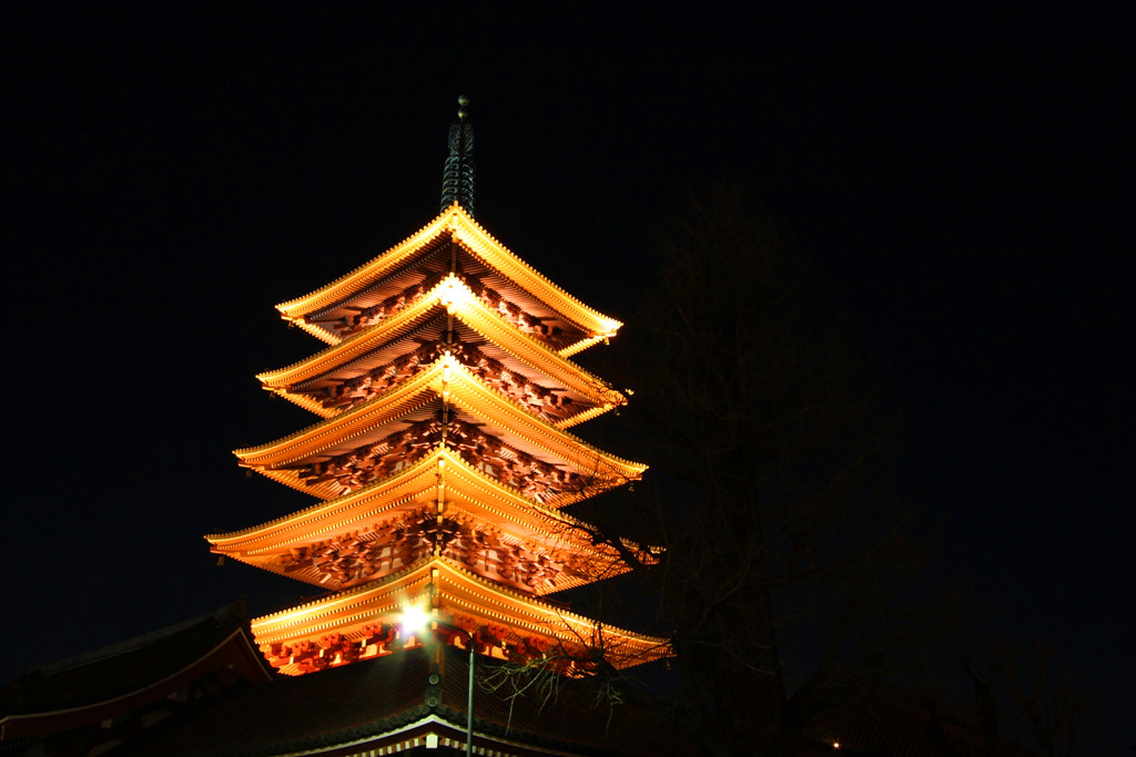 Asakusa Night View Photo (9)
