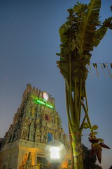 Holy Tree Sri Balasubramaniam temple - HDR