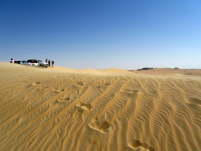 Siwa Oasis Desert Safari