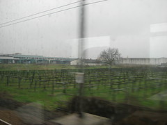 Torino - Bologna, 28.3.11, in viaggio per la Fiera (BCBF), 24