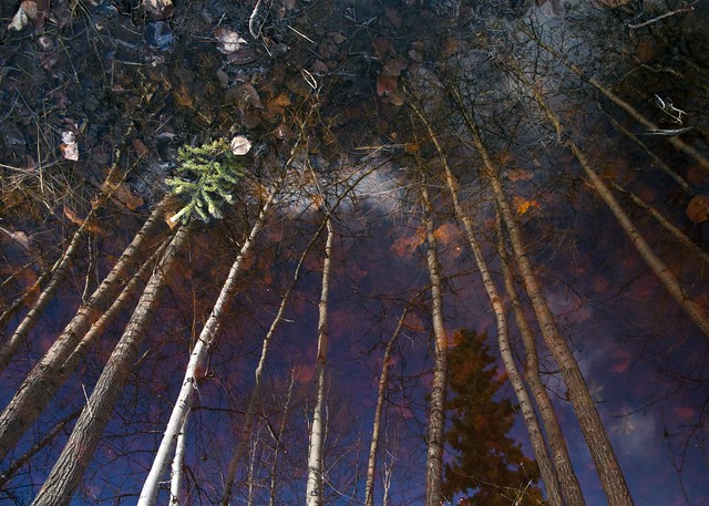 Reflected Grove Inversion