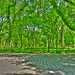 Central Park - HDR
