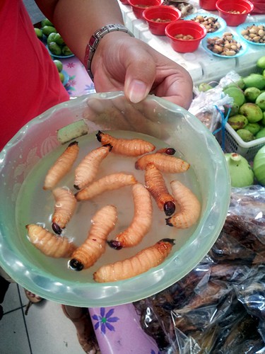 Sibu, sarawak - live sago worms.08