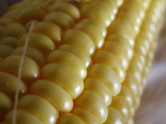 Anglų lietuvių žodynas. Žodis corn on the cob reiškia n kukurūzų burbuolė (patiekalas) lietuviškai.