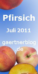 Garten-Koch-Event Juli 2011: Pfirsich [31.07.2011]