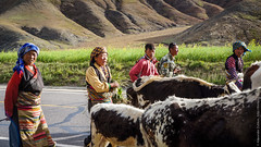 На тибетских дорогах
