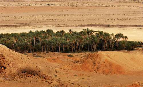 Oasis193 • <a style="font-size:0.8em;" href="http://www.flickr.com/photos/30735181@N00/5261731320/" target="_blank">View on Flickr</a>