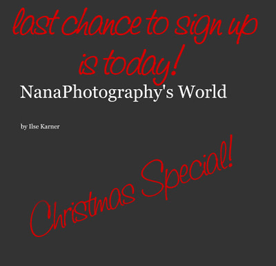 NanaPhotography's World - Christmas Special