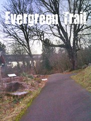 Evergreen Trail at Columbia Springs