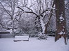 Tonbridge Park in the snow