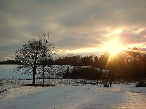 sunrise on the snow