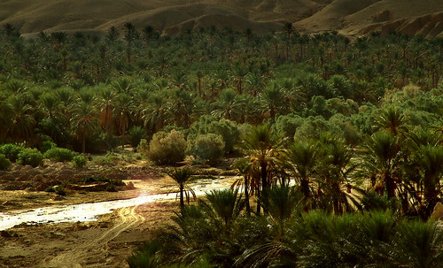 Oasis051 • <a style="font-size:0.8em;" href="http://www.flickr.com/photos/30735181@N00/5261176447/" target="_blank">View on Flickr</a>