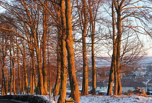 Yorkshire in Winter