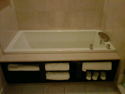 Motor City hotel - the tub!