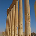 Huge columns at Palmyra, Syria