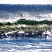 Surf's Up<br /><span style="font-size:0.8em;">I was shooting a wedding in Cocoa Beach this morning and was lucky to catch this.</span>