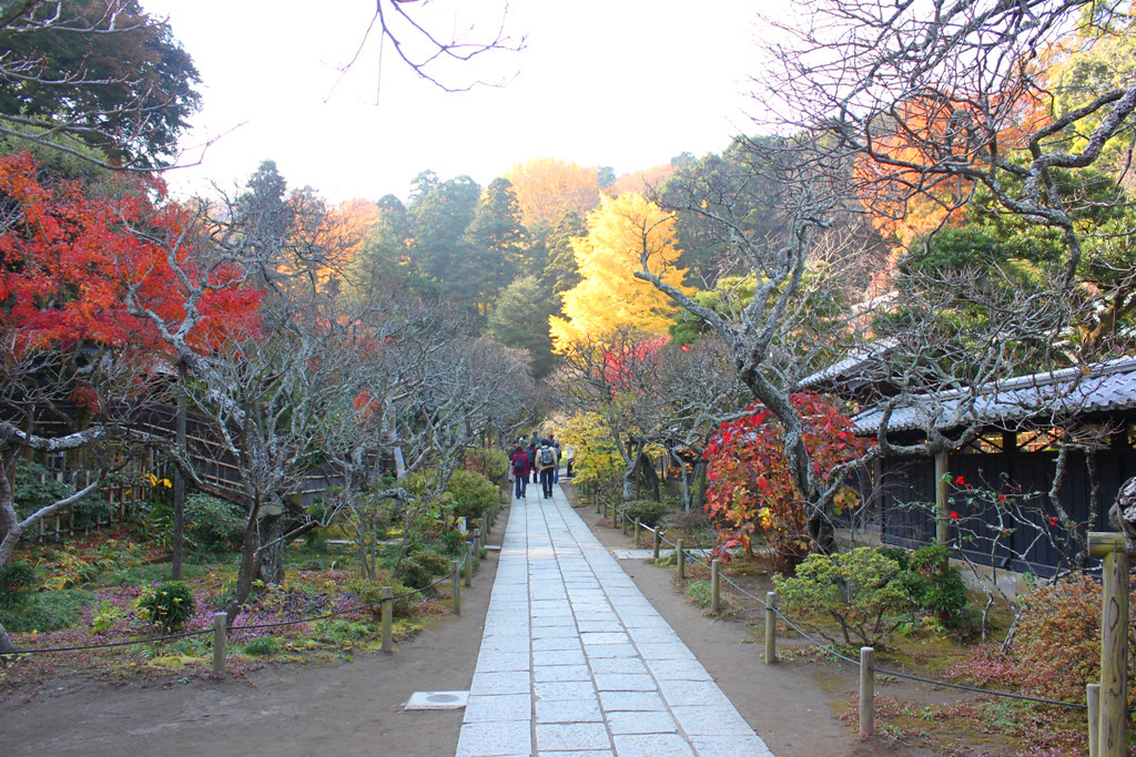 Kita Kamakura Walking Guide (9)