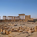 Ruins at Palmyra - Syria