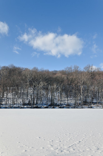 Frozen Pond [Winter 2011]