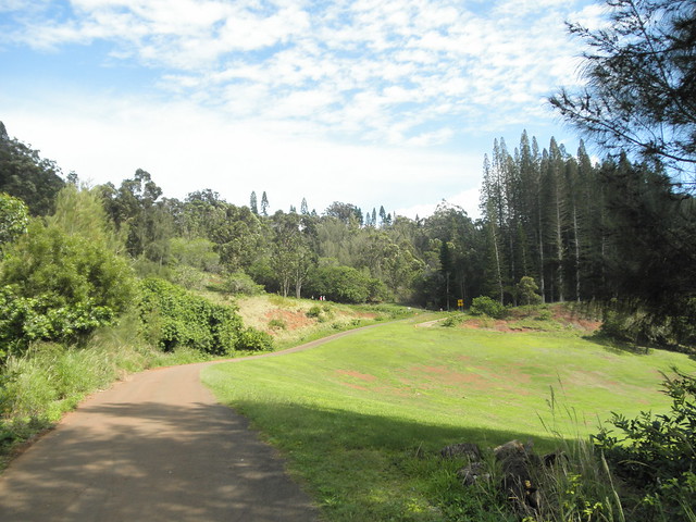 Koloiki Trail near Experience at Koele