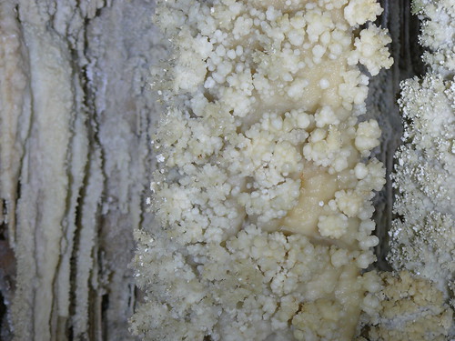 the Clamouse Cave : aragonite