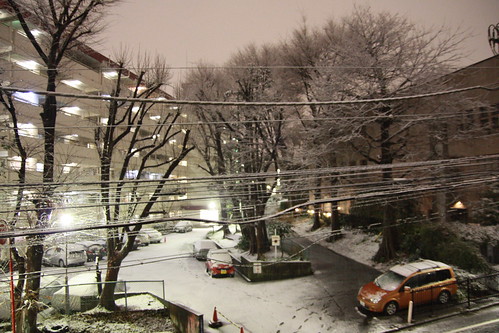 2011年2月14日の深夜から翌朝にかけての雪